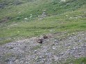 IMG_0719