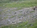 IMG_0720
