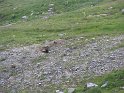 IMG_0723