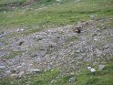 IMG_0724