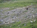 IMG_0725