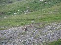 IMG_0726