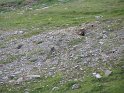 IMG_0727