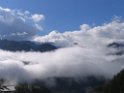 IMG_0431
