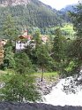 IMG_0442