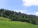 IMG_0767