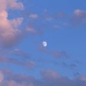 IMG_1423
