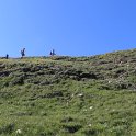 IMG_1428