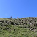 IMG_1429