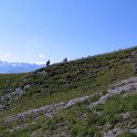 IMG_1432