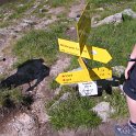 IMG_1451