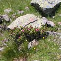 IMG_1454