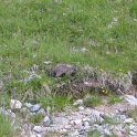 IMG_1457