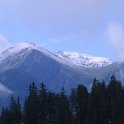 IMG_1542