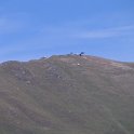 IMG_1555
