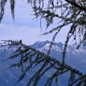 IMG_1557