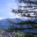 IMG_1558