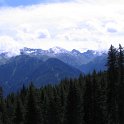 IMG_1584