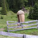 IMG_1594