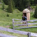 IMG_1597