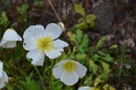 063