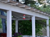 DSC 4764