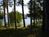 DSC 4777