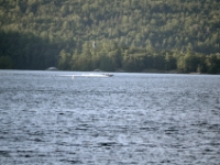 DSC 4783