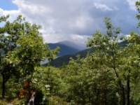 DSC 4931