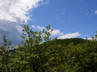 DSC 4934