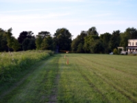 DSC 4987