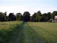 DSC 4990