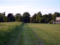 DSC 4991