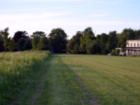 DSC 4992