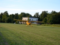 DSC 4994