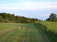 DSC 5007