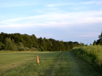 DSC 5013