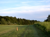 DSC 5014