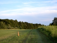DSC 5015