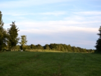 DSC 5031