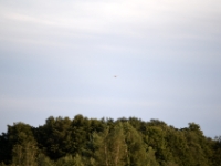 DSC 5032