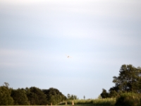 DSC 5035