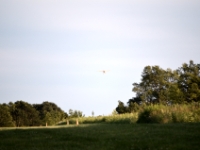 DSC 5036