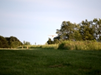 DSC 5039