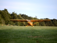 DSC 5046