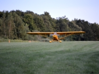 DSC 5065