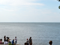 DSC 5082