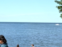 DSC 5084