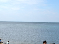 DSC 5085