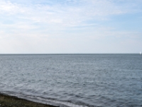 DSC 5093